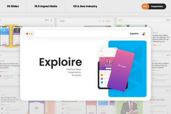 Site Web Professionnel